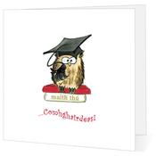 Comhghairdeas - Big Leap Designs