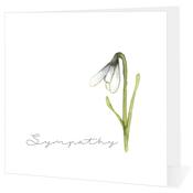 With Sympathy - Big Leap Designs image