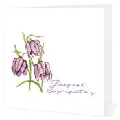 Sympathy - Big Leap Designs image