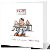 Good Luck in your Leaving Cert - Big Leap Designs