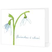 Buíochas ó Chroí - Big Leap Designs