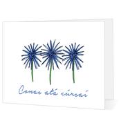 Conas atá cúrsaí - Big Leap Designs