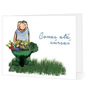 Conas atá cúrsaí - Big Leap Designs