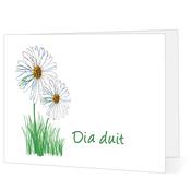 Dia Duit - Big Leap Designs image