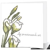 Ag Smaoineamh Ort - Big Leap Designs image
