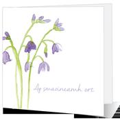 Ag Smaoineamh Ort - Big Leap Designs image