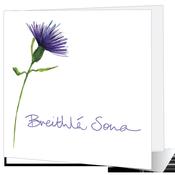 Breithlá Sona - Big Leap Designs image