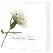 Pack Assorted Irish Sympathy Cards image