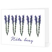 Nóta beag - Big Leap Designs image