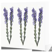 Lavender Notelet - Big Leap Designs image