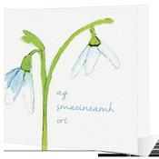 Ag Smaoineamh Ort - Big Leap Designs image