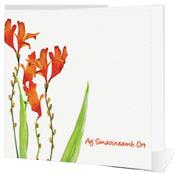 Ag Smaoineamh Ort - Big Leap Designs image
