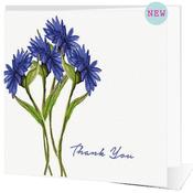 Thank You Cornflowers - Big Leap Designs