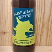 Ballykilcavan Bin Bawn Pale 500ml (BTL)