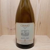 Antinori Cervaro della Salla 2023