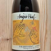 Angus Paul Transient Lands Pinotage