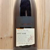 Cabert Pinot Noir Trevenezie