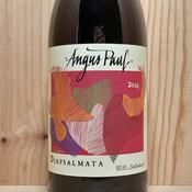 Angus Paul Diapsalmata Cinsault