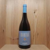 Cantine Pellegrino Diantha Grillo Malvasia 2025