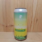 Ballykilcavan Greenfields Festival IPA
