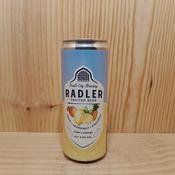 Vault City Mixed Fruit Radler