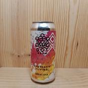 Dot Brew Southern Living DISC