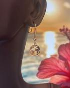 9ct Gold Globe Shepherd Hook Earrings image