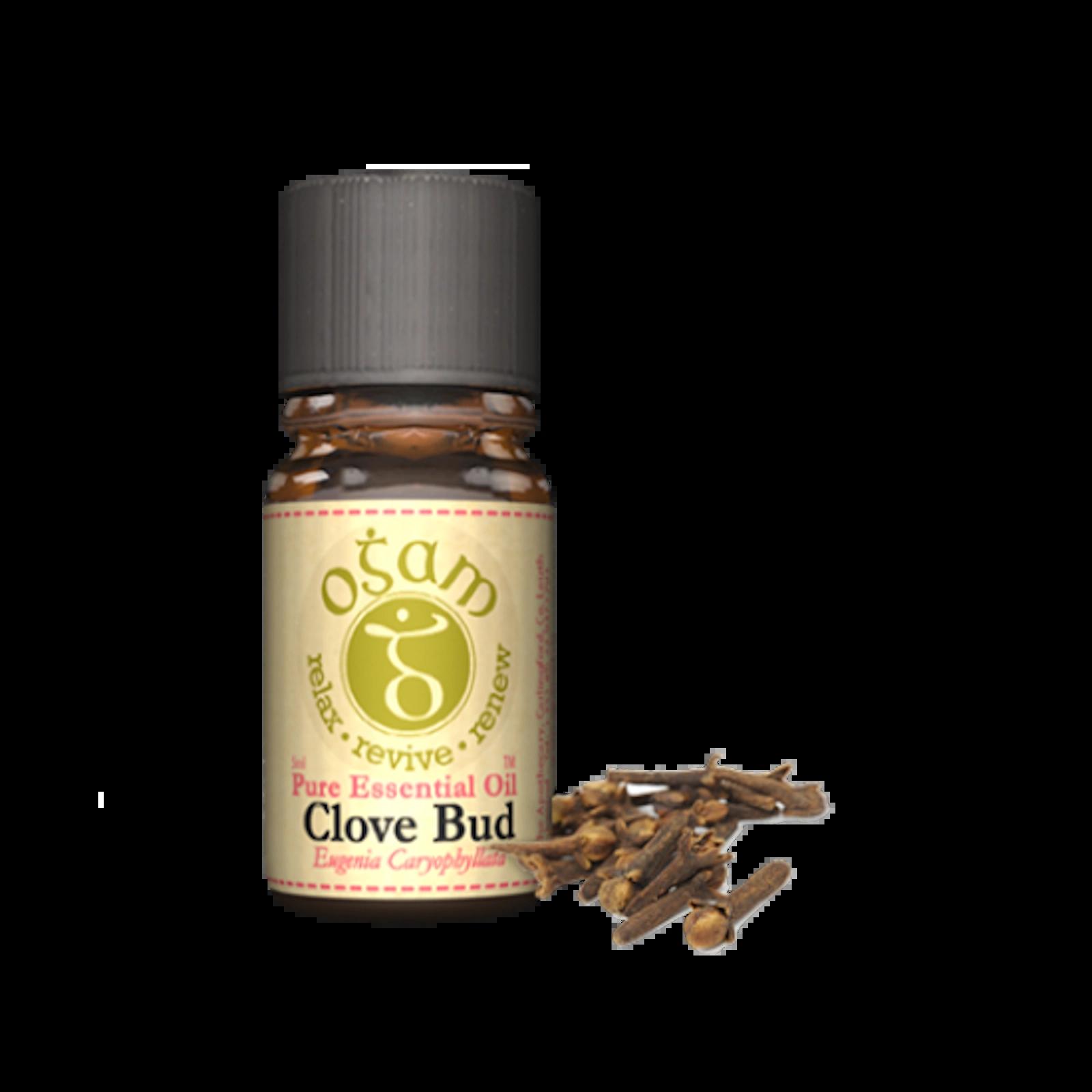 Ogam Clove Bud Essential Oil 5ml - Healing, Warmth, Antiseptic