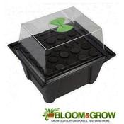 X-STREAM AEROPONIC 20