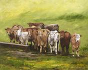 John Galvin Art - Anticipation