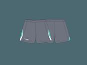 Darwin Leisure Shorts