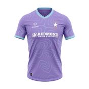 Ballygarrett Réalt na Mara Training Jersey | Purple image