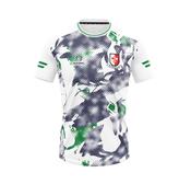 Sarsfields GAA Kids Training Jersey | White image