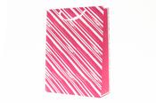 G/BAG XL:XL PINK &amp; SIL STRIPE [6]