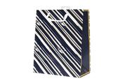 G/BAG LGE: LG BLUE &amp; GOLD STRIPE [6]