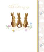 Christening - Peter Rabbit image