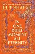In One Brief Moment All Eternity image