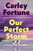 Our Perfect Storm image