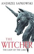 The Lady of the Lake: Witcher 5 – Now a major Netflix show image
