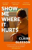 Show Me Where It Hurts: The searingly beautiful debut novel about loss and learning how to live again image
