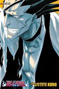 Bleach (3-in-1 Edition), Vol. 5: Includes vols. 13, 14 &amp; 15: Volume 5 image