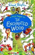 The Enchanted Wood:Book 1 image