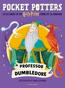 Professor Dumbledore image