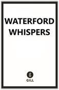 Waterford Whispers News 2026 image