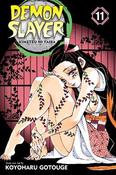 Demon Slayer: Kimetsu no Yaiba, Vol. 11: A Close Fight: Volume 11 image