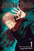 Jujutsu Kaisen, Vol. 1: Ryomen Sukuna: Volume 1