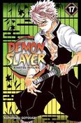 Demon Slayer: Kimetsu no Yaiba, Vol. 17: Successors: Volume 17