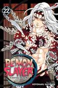 Demon Slayer: Kimetsu no Yaiba, Vol. 22: The Wheel Of Fate: Volume 22 image