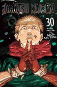 Jujutsu Kaisen, Vol. 30: Volume 30 image