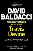 All In by David Baldacci image